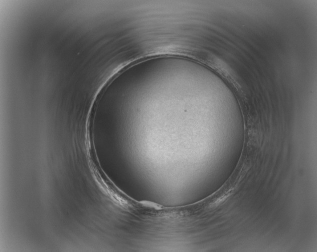 X0000062600892200601040910