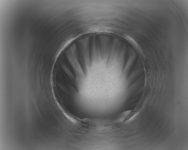 X0000062600893200601040910
