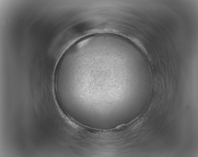 X0000062600895200601040910