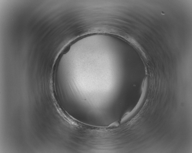 X0000062600896200601040910