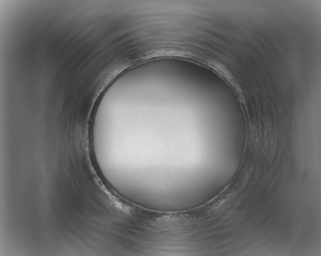 X0000062600898200601040910