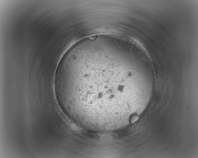 X0000062600899200601040910