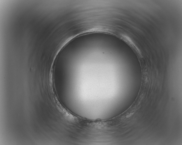 X0000062600900200601040910