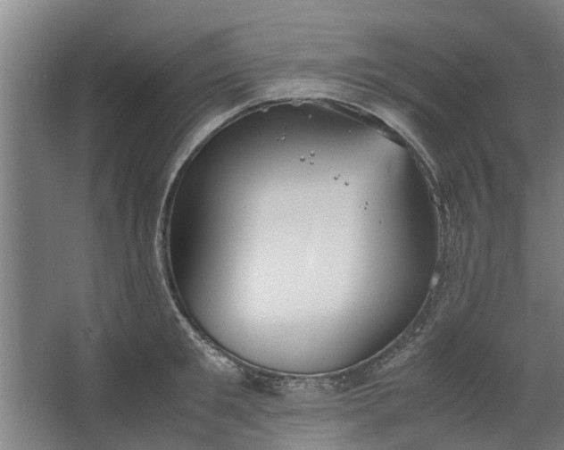 X0000062600901200601040910