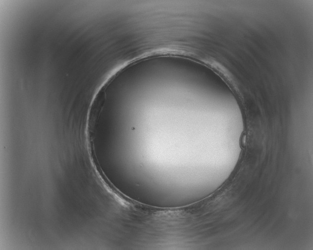 X0000062600902200601040910