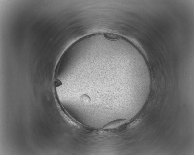 X0000062600903200601040910