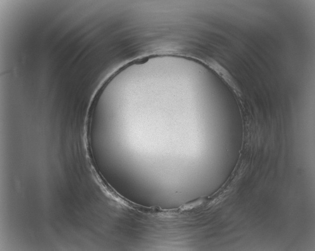 X0000062600904200601040910