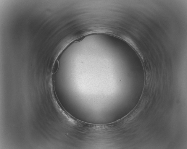 X0000062600906200601040910