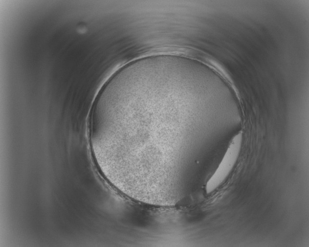 X0000062600907200601040910