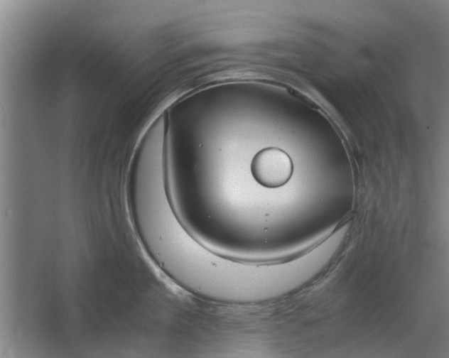 X0000062600909200601040910