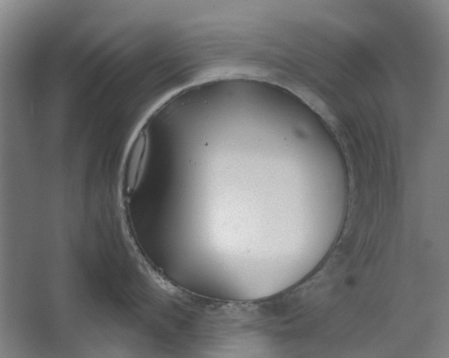 X0000062600912200601040910