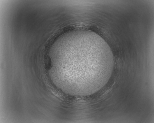 X0000062600913200601040909