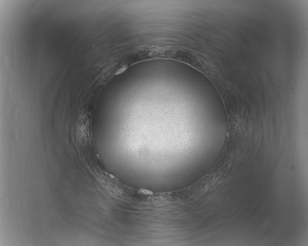 X0000062600914200601040909