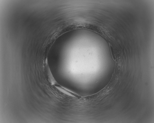 X0000062600916200601040909