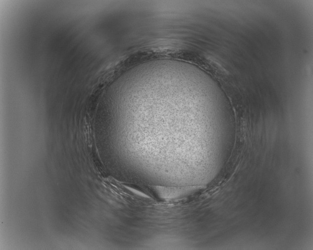 X0000062600917200601040909