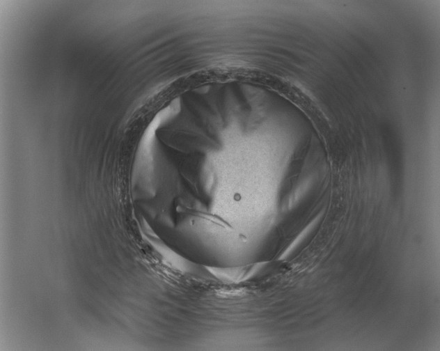 X0000062600919200601040909