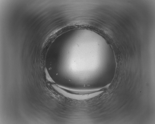 X0000062600920200601040909