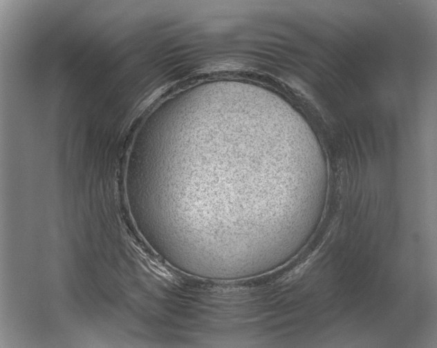 X0000062600921200601040909