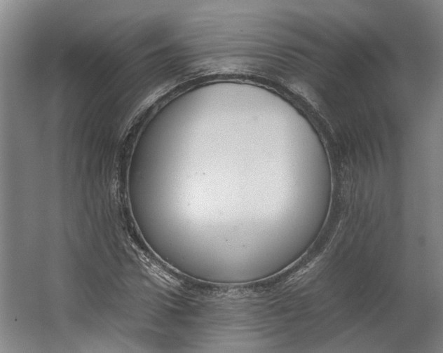 X0000062600922200601040909