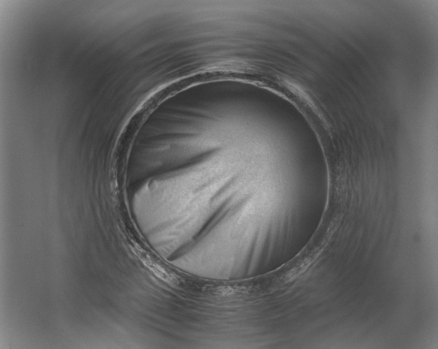 X0000062600923200601040909