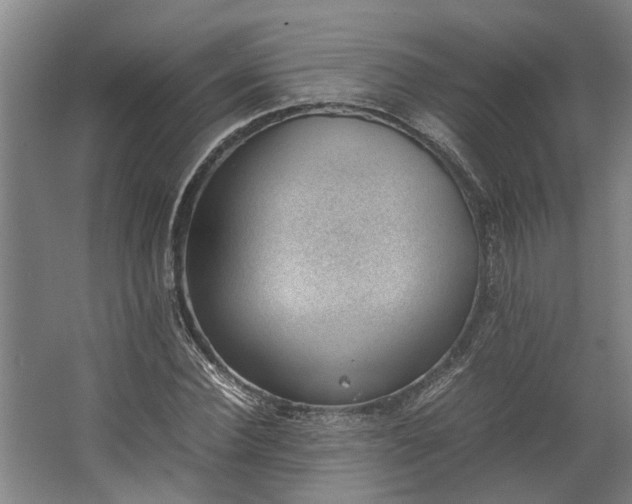 X0000062600924200601040909