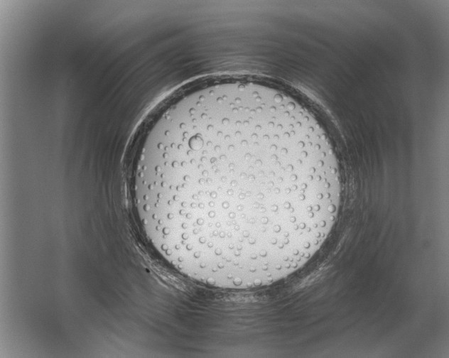 X0000062600925200601040909