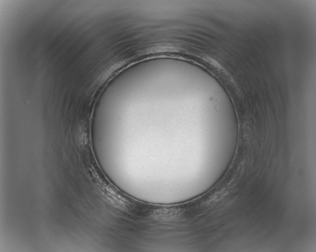 X0000062600929200601040909