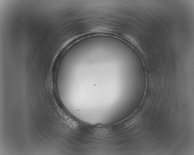 X0000062600931200601040910