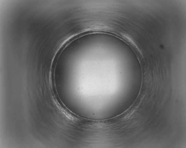 X0000062600932200601040910