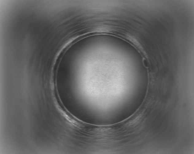 X0000062600939200601040910