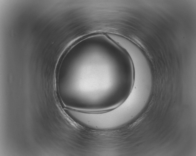 X0000062600940200601040910