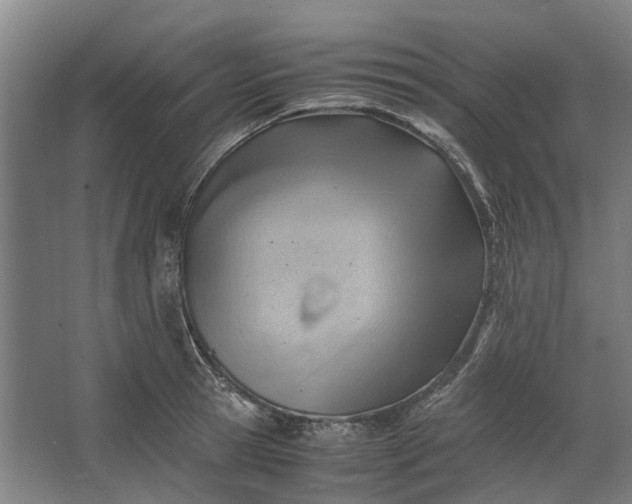 X0000062600945200601040910