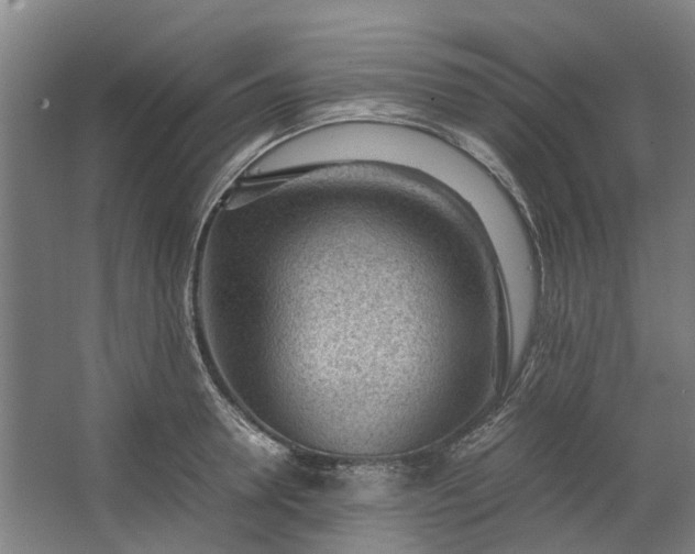 X0000062600946200601040910