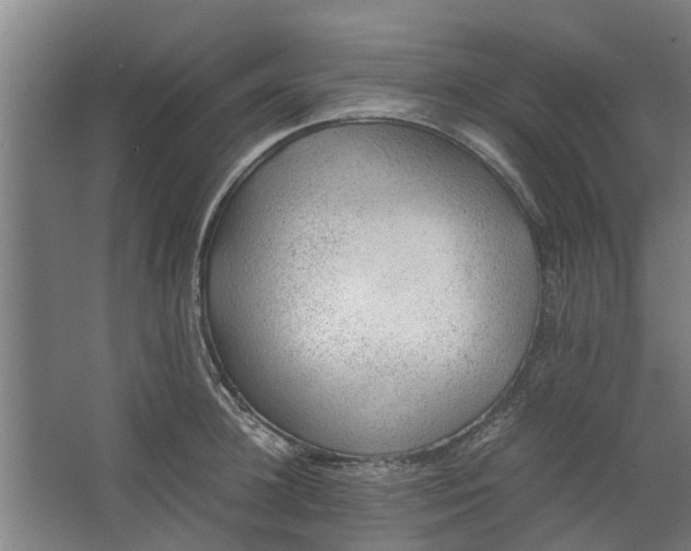 X0000062600948200601040910