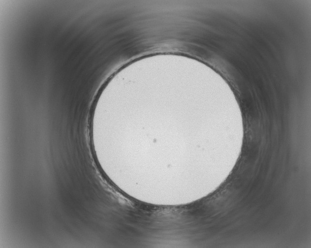 X0000062600950200601040910