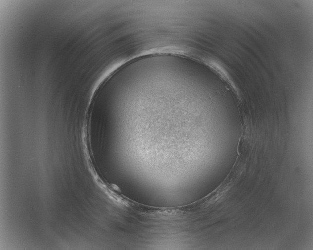 X0000062600952200601040910