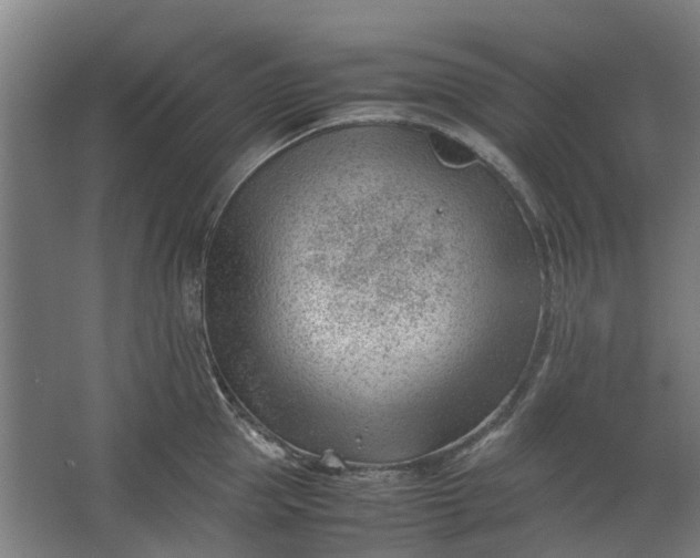 X0000062600953200601040910