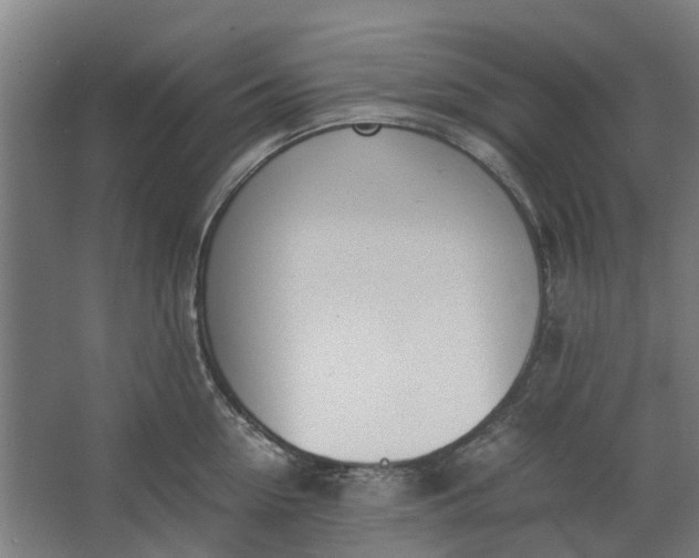 X0000062600954200601040910