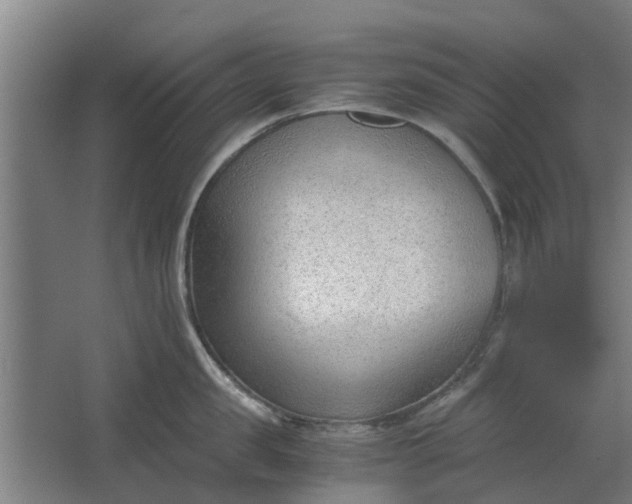 X0000062600957200601040910