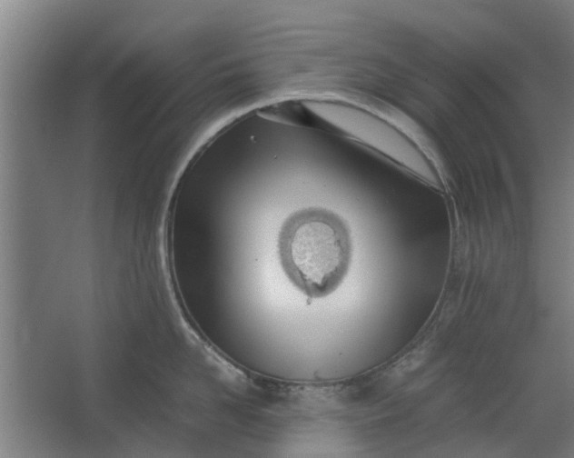 X0000062600958200601040910