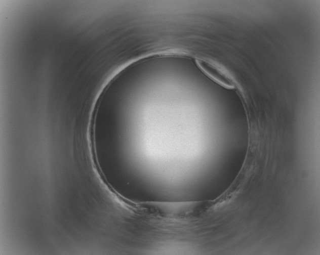 X0000062600959200601040910