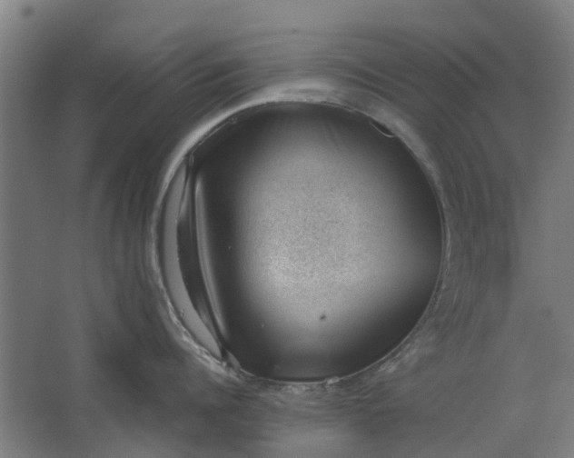 X0000062600960200601040910