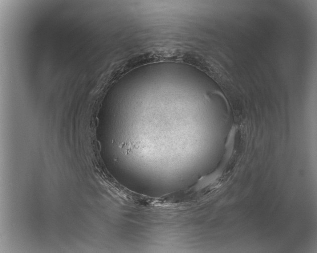 X0000062600961200601040909