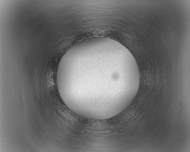 X0000062600962200601040909