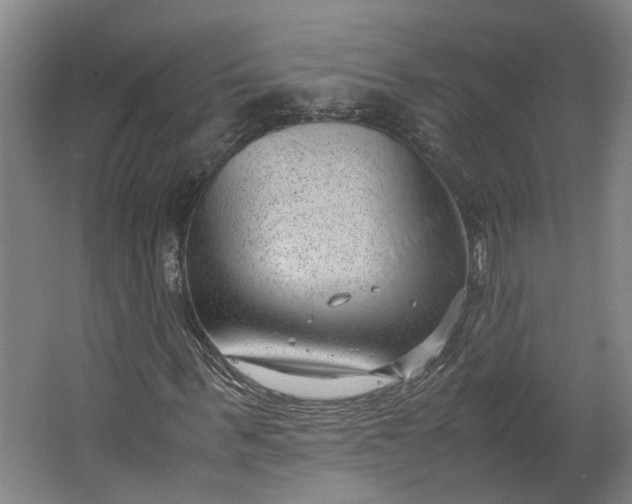 X0000062600963200601040909