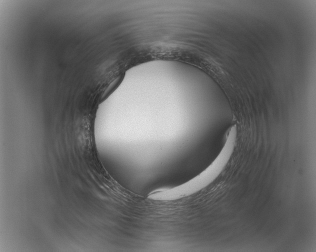 X0000062600964200601040909