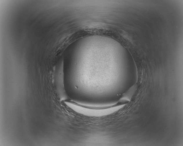 X0000062600965200601040909