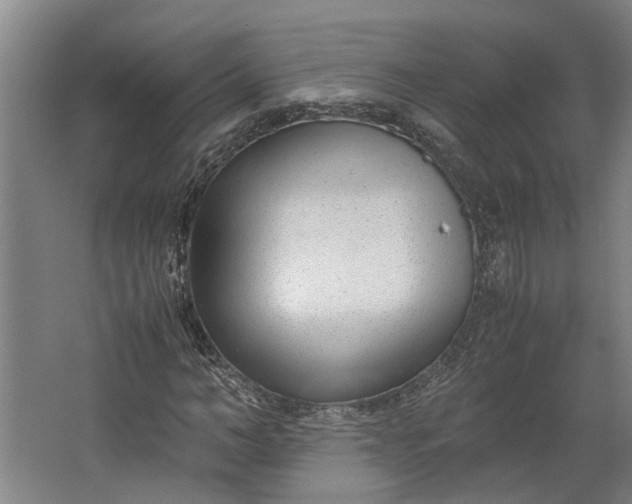 X0000062600966200601040909