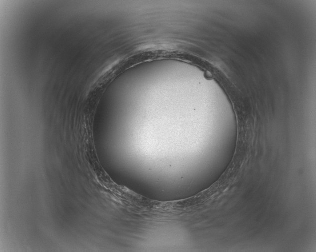 X0000062600967200601040909