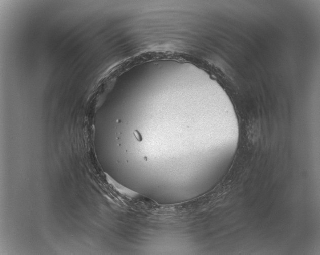 X0000062600968200601040909